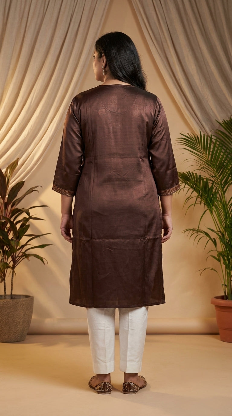 Paneri Embroidery Straight Sillk Kurti