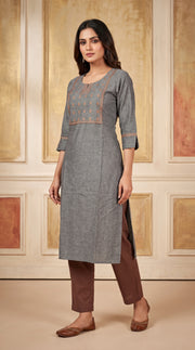 Paneri Elegant Floral Embroidered Straight Kurti